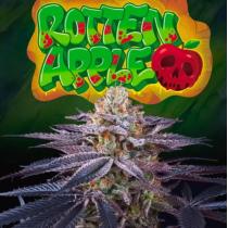 Rotten Apple (x3) +1